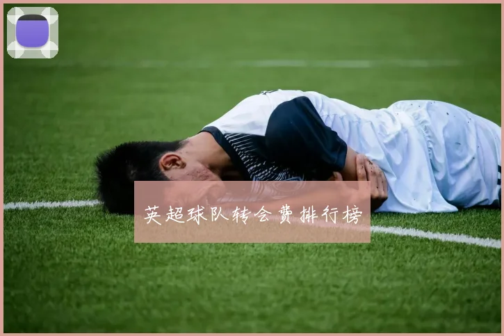 英超球队转会费排行榜