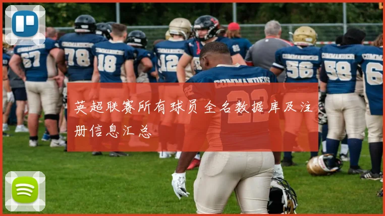 英超联赛所有球员全名数据库及注册信息汇总