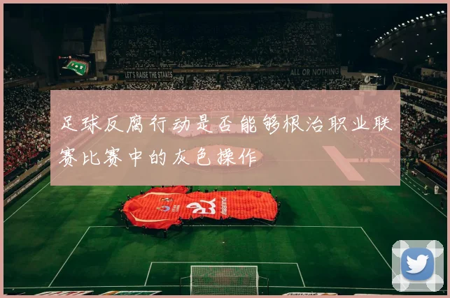 足球反腐行动是否能够根治职业联赛比赛中的灰色操作