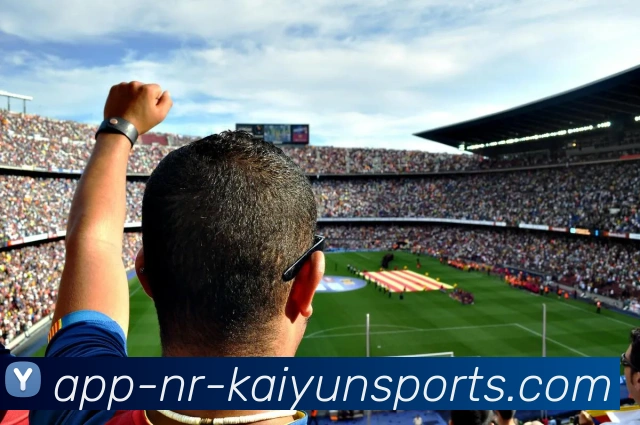 开云体育平台生态图